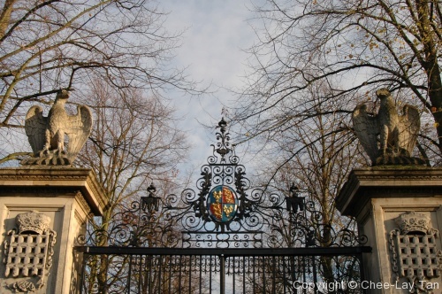 Fairytale unveiled: St John's College - Photo 9