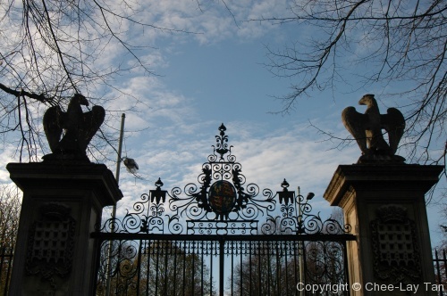 Fairytale unveiled: St John's College - Photo 10